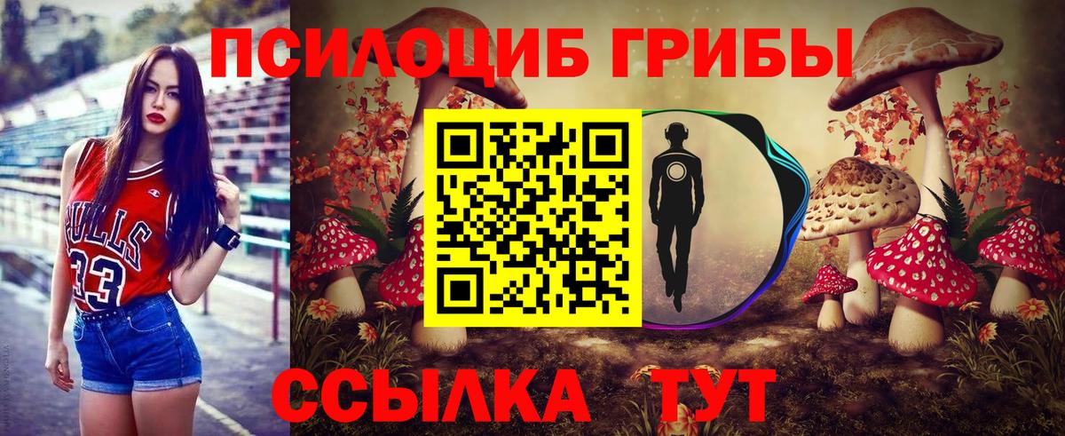 Нарткала  Псилоцибиновые грибы Magic Shrooms  Вход с VPN 