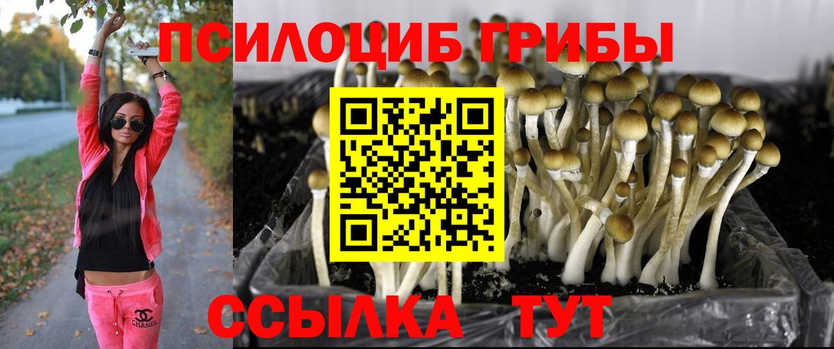 Галлюциногенные грибы Cubensis Нарткала